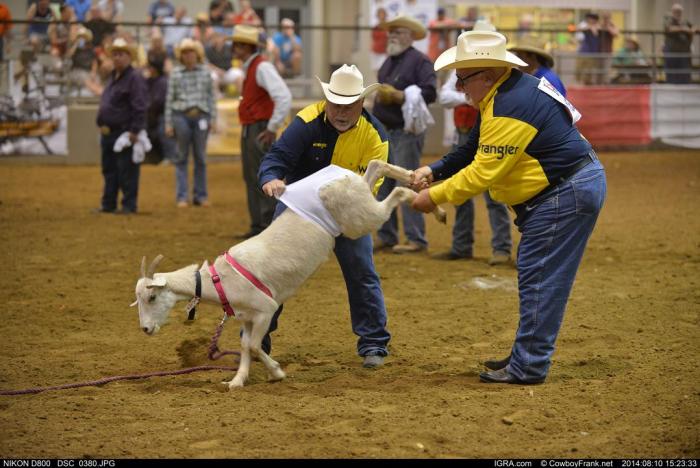 Gay rodeoers compete in a goat dressing event, photo credit: CowboyFrank.net, International Gay Rodeo Association