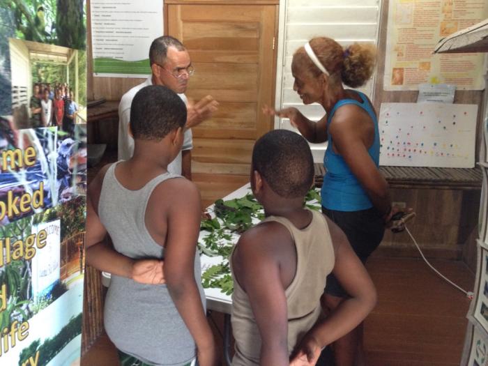 Opening of the temporary public history exhibit in Crooked Tree village summer 2016 (photo by Eleanor Harrison-Buck)