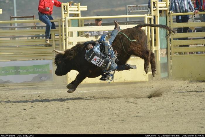 A cowboy hangs on during a bull riding competition, photo credit: CowboyFrank.net, International Gay Rodeo Association